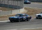 races 501